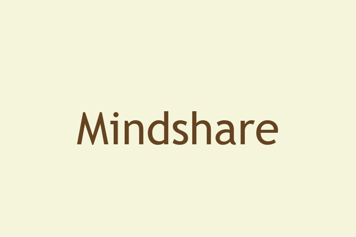 Software Consultancy Mindshare