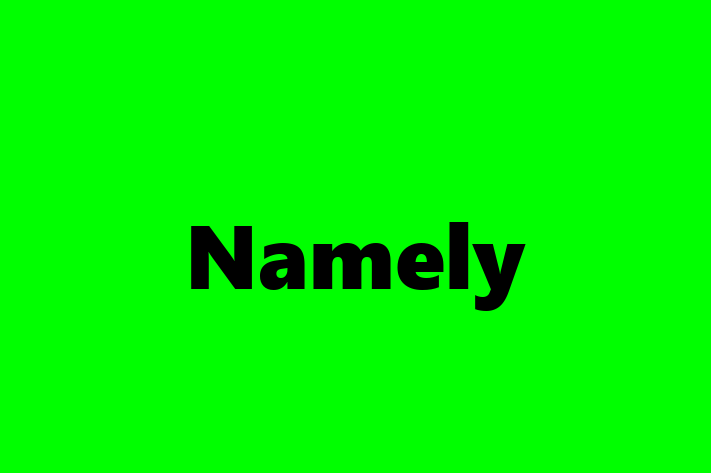 Technology Company Namely