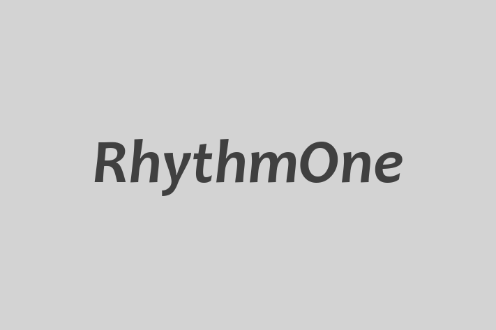 Software Solutions Provider RhythmOne