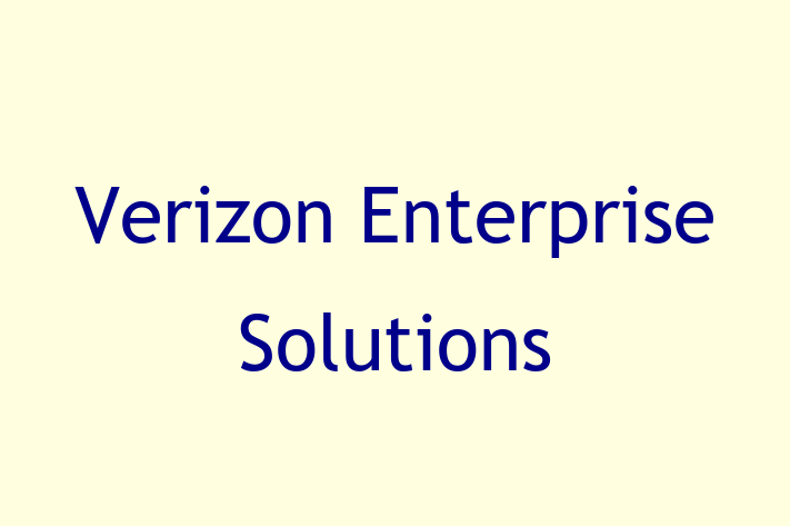 Tech Firm Verizon Enterprise Solutions