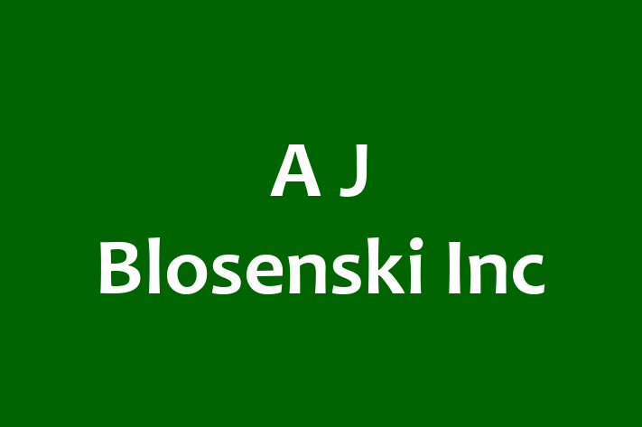 Personnel Management A J Blosenski Inc