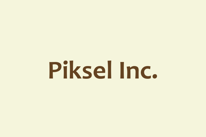 Software Development Company Piksel Inc.