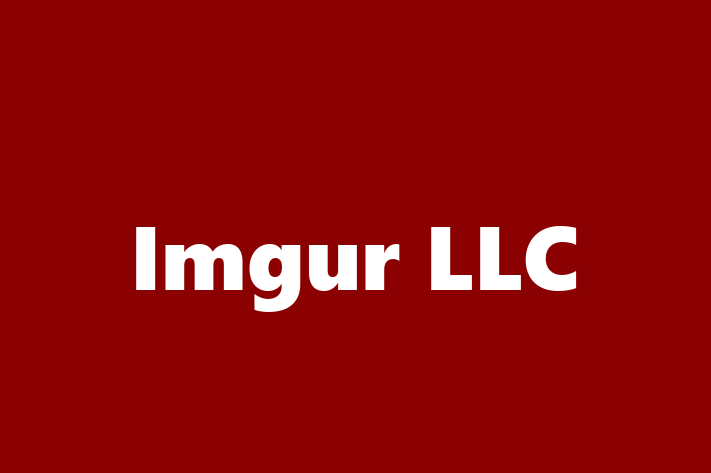 Software Solutions Provider Imgur LLC