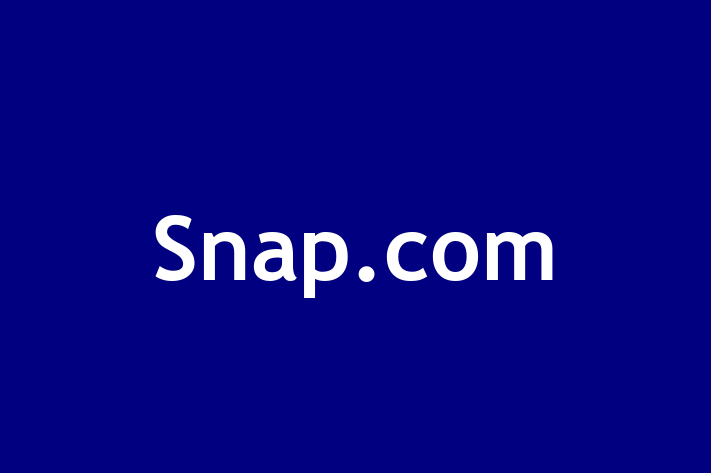 Software Solutions Provider Snap.com