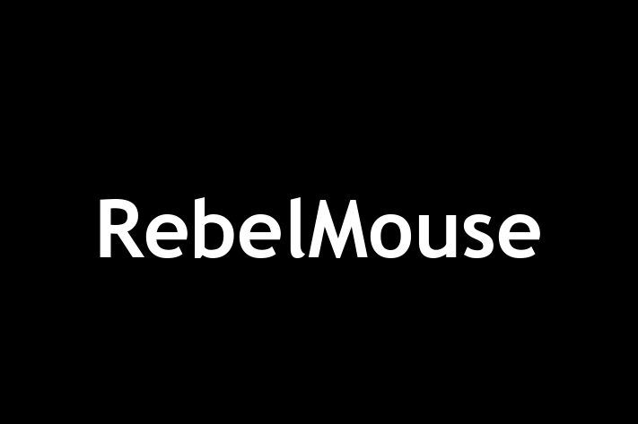 Technology Solutions Firm RebelMouse