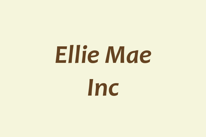 Tech Solutions Company Ellie Mae Inc