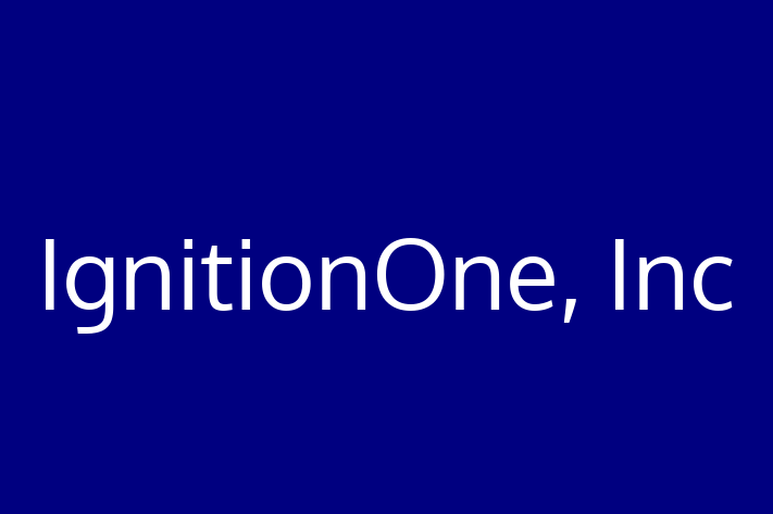 IT Company IgnitionOne Inc