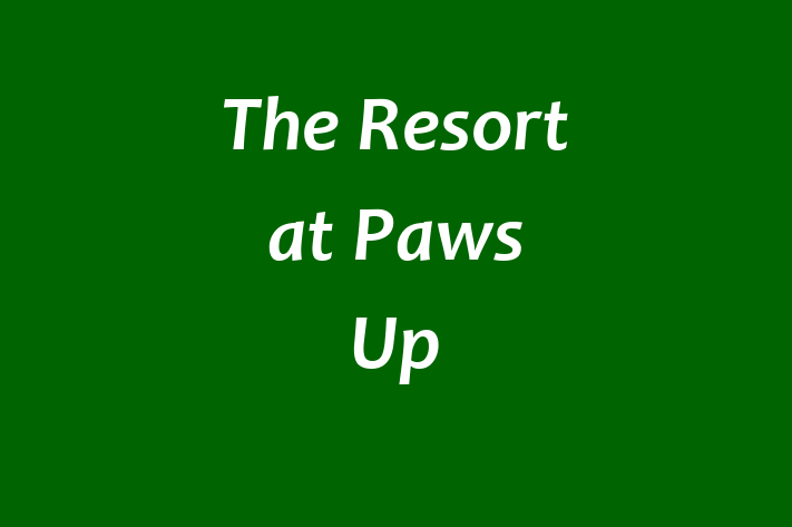 Labor Relations The Resort at Paws Up