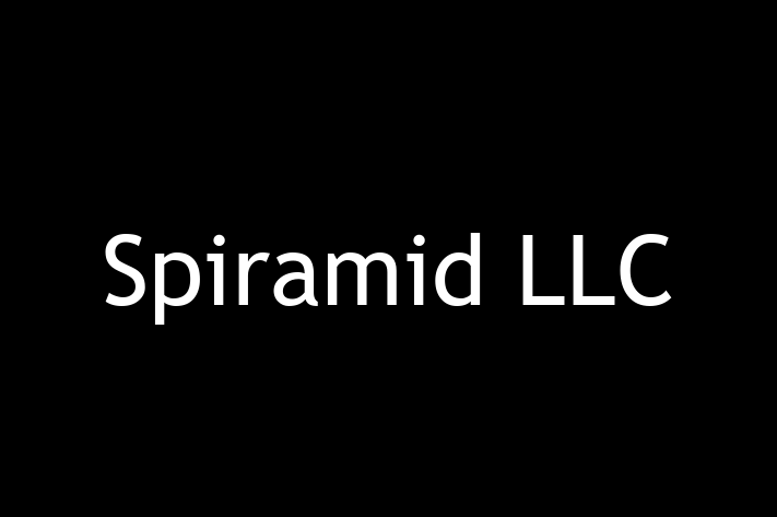 Software House Spiramid LLC