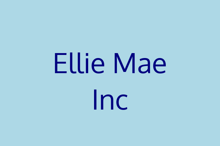 Software Engineering Company Ellie Mae Inc