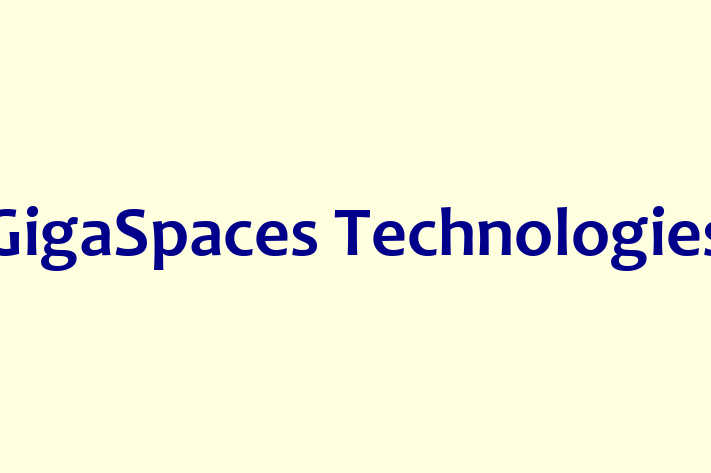 Software Consultancy GigaSpaces Technologies