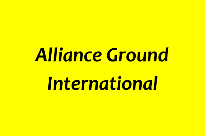 Software Solutions Provider Alliance Ground International