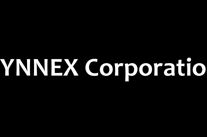 Software Consultancy SYNNEX Corporation