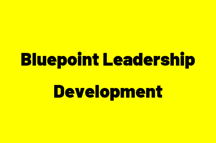 Technology Solutions Firm Bluepoint Leadership Development