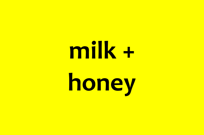 Employee Resource Management milk + honey