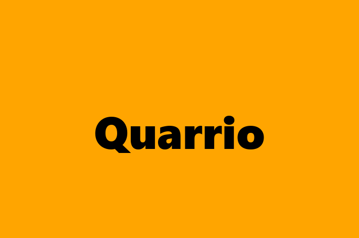 Digital Solutions Provider Quarrio