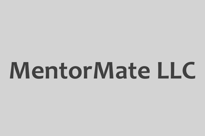 IT Company MentorMate LLC