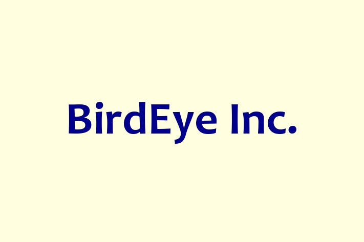 Software Engineering Company BirdEye Inc.