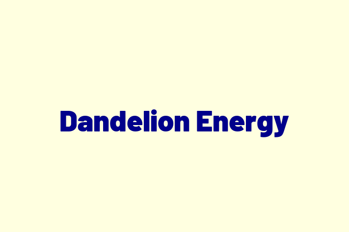 Talent Management Dandelion Energy