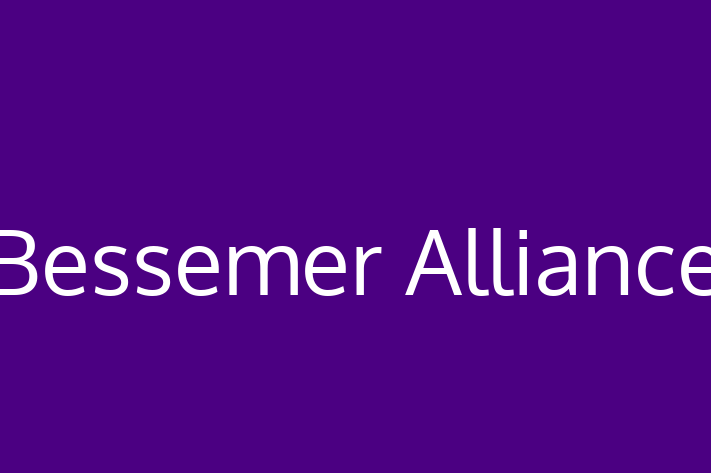 Technology Solutions Firm Bessemer Alliance