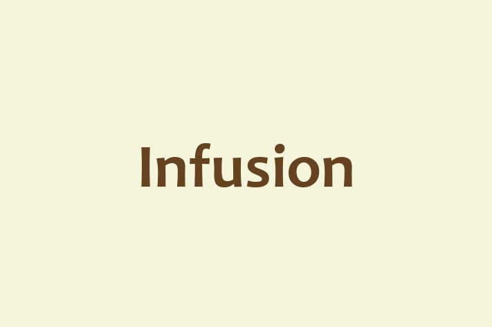 Tech Firm Infusion