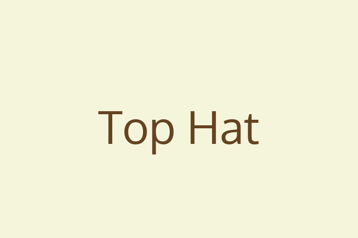 Software Services Company Top Hat