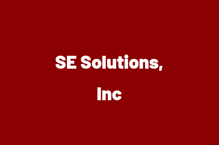 Tech Firm SE Solutions Inc