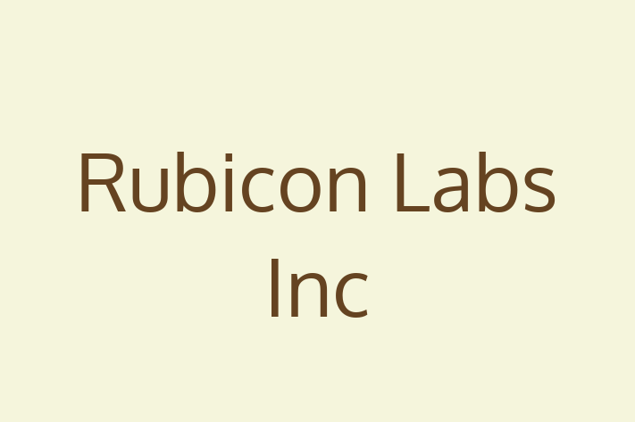 Software Development Firm Rubicon Labs Inc