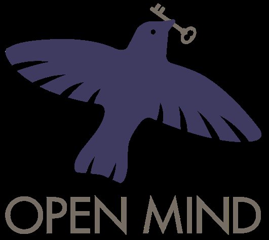 Digital Solutions Provider Open Mind Strategy LLC