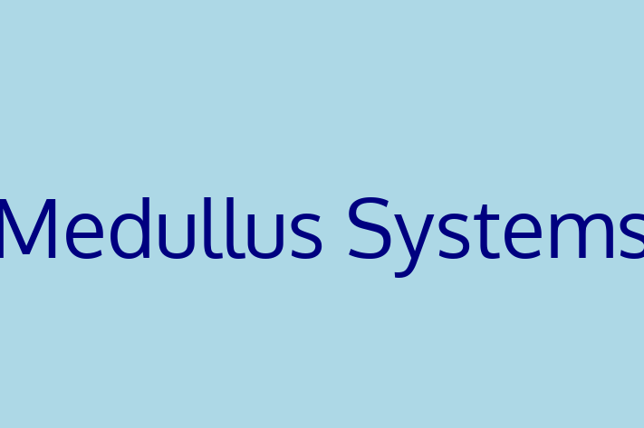 Software Consultancy Medullus Systems