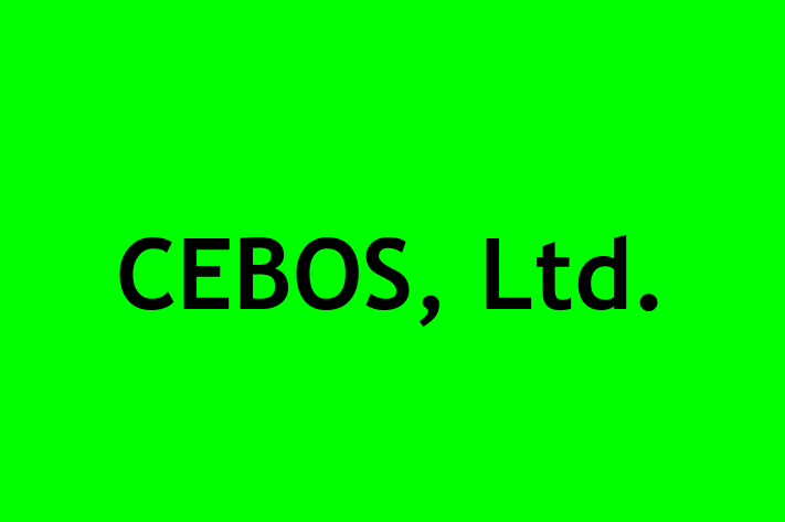 IT Company CEBOS Ltd.