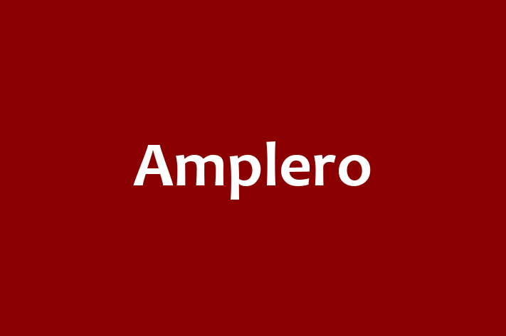 Technology Company Amplero