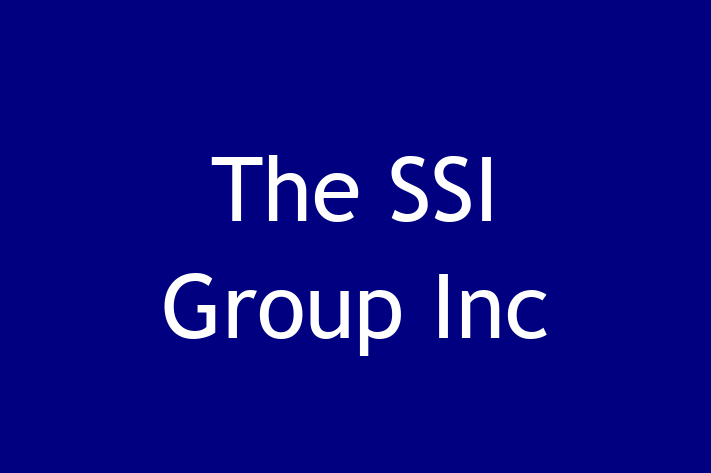 Technology Solutions Firm The SSI Group Inc