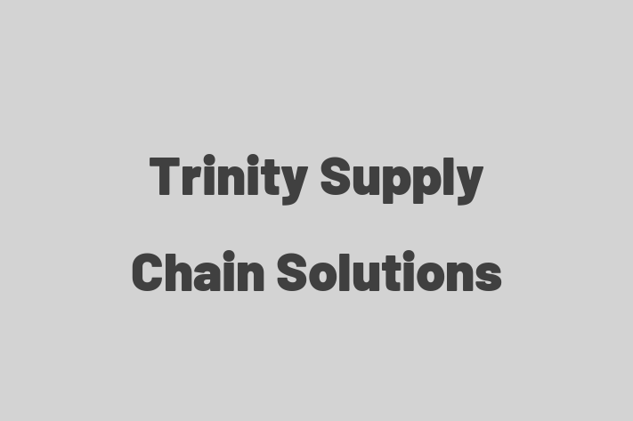 Technology Solutions Firm Trinity Supply Chain Solutions