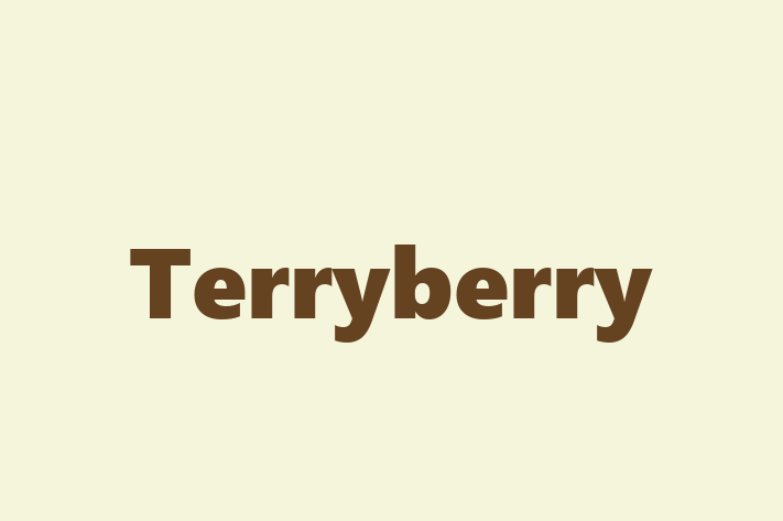 Talent Management Terryberry