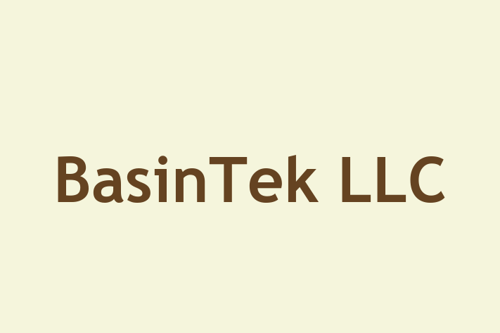 People Management BasinTek LLC