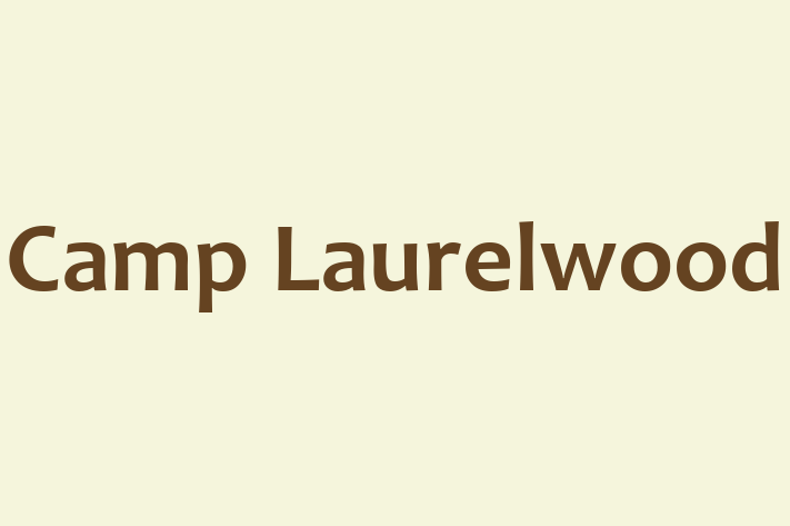 Application Development Company Camp Laurelwood