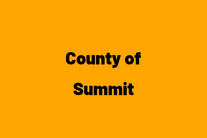 Employee Relations County of Summit