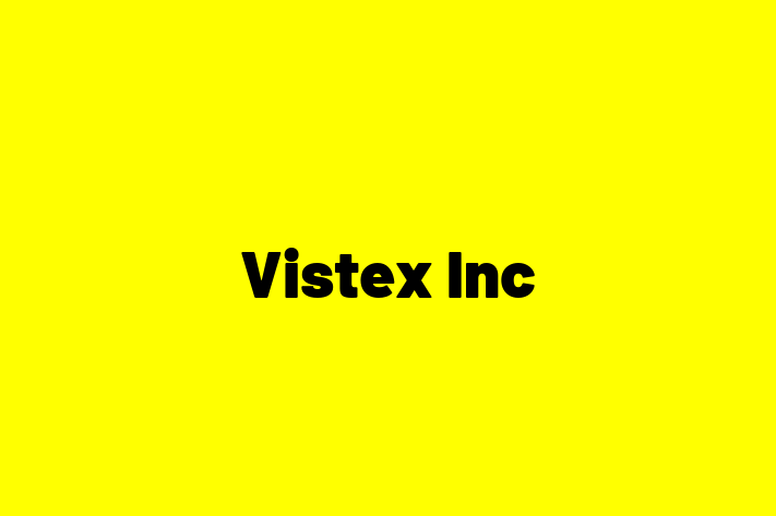 Software Services Company Vistex Inc