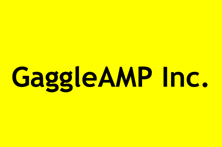 IT Company GaggleAMP Inc.