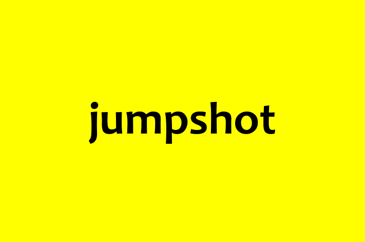 Technology Company jumpshot