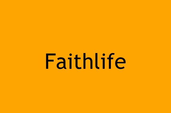 Digital Solutions Provider Faithlife