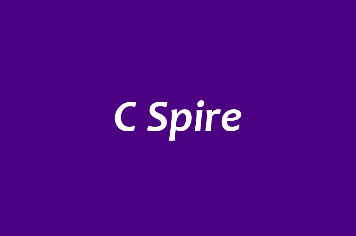 Digital Solutions Provider C Spire