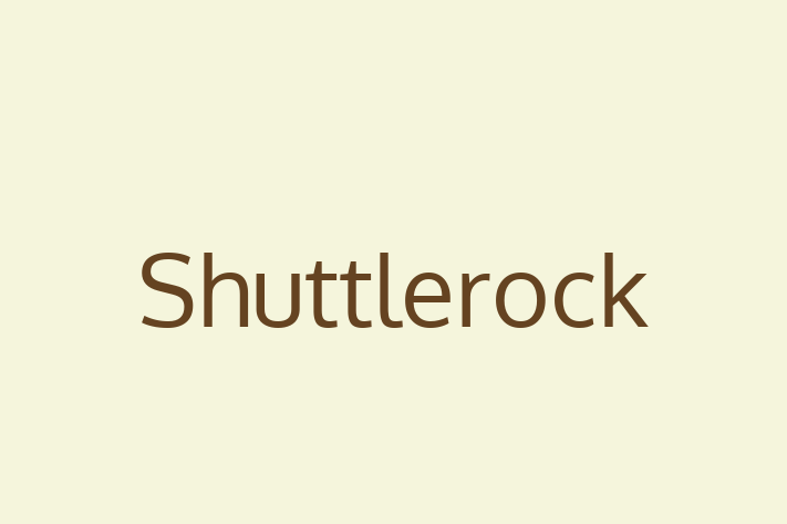 Tech Firm Shuttlerock