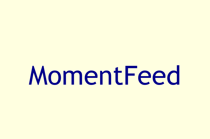 Technology Company MomentFeed