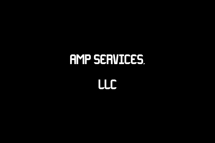 Personnel Management AMP Services LLC