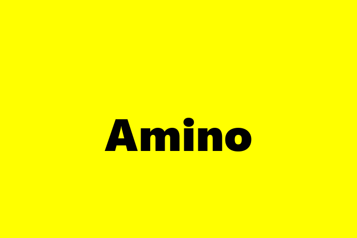 Software Development Firm Amino