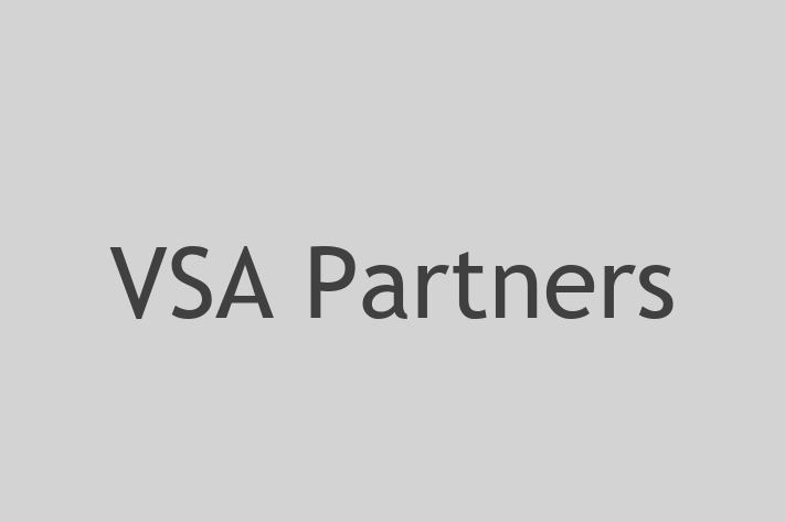 Application Development Company VSA Partners