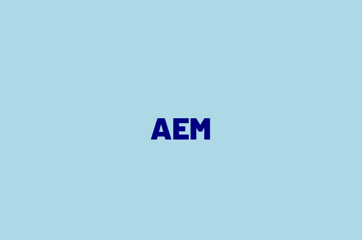 IT Company AEM