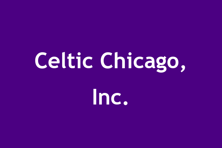 Tech Solutions Company Celtic Chicago Inc.